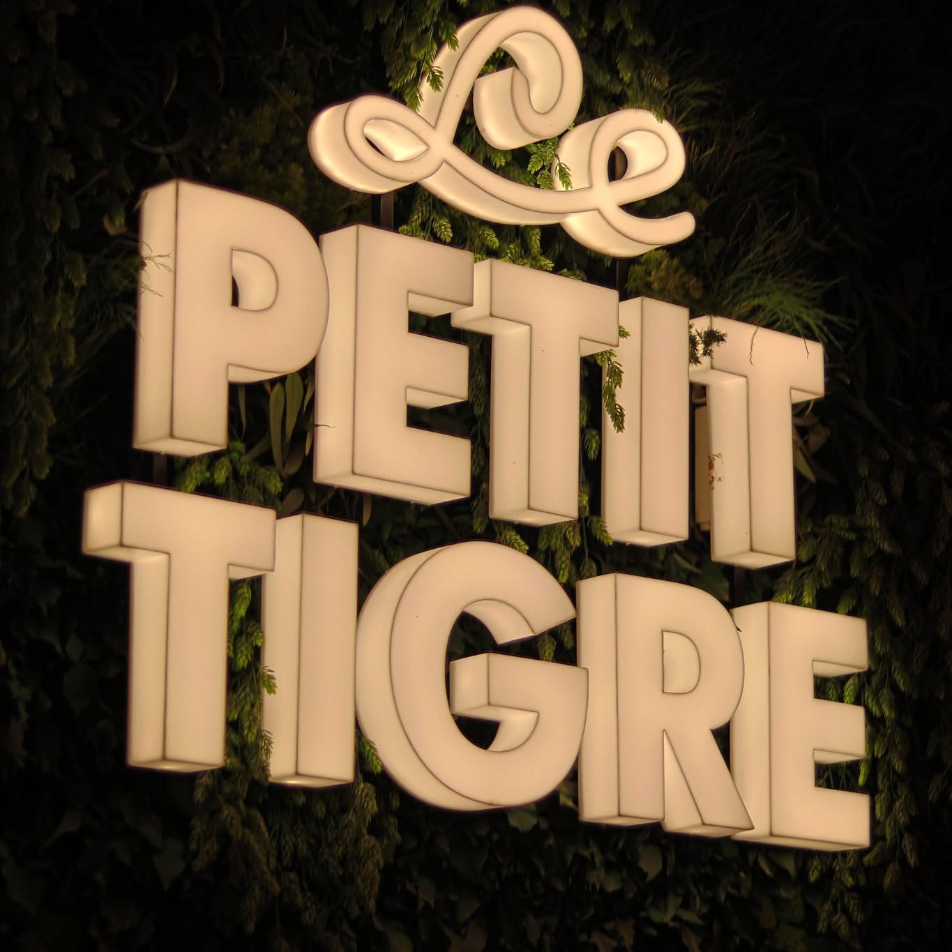Petit Tigre