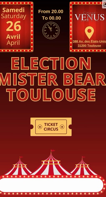 Election Mister Bear Toulouse & party
