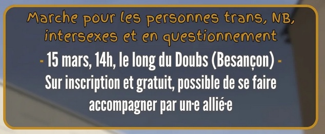 Marche pour les personnes trans, non binaires, intersexes et en questionnement
