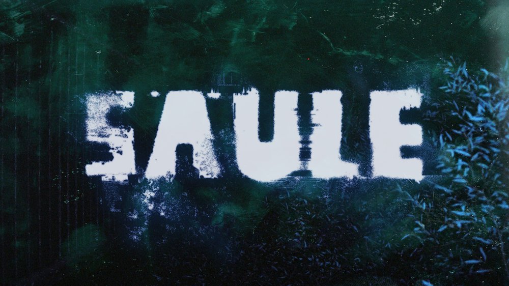 Saüle • Agenda