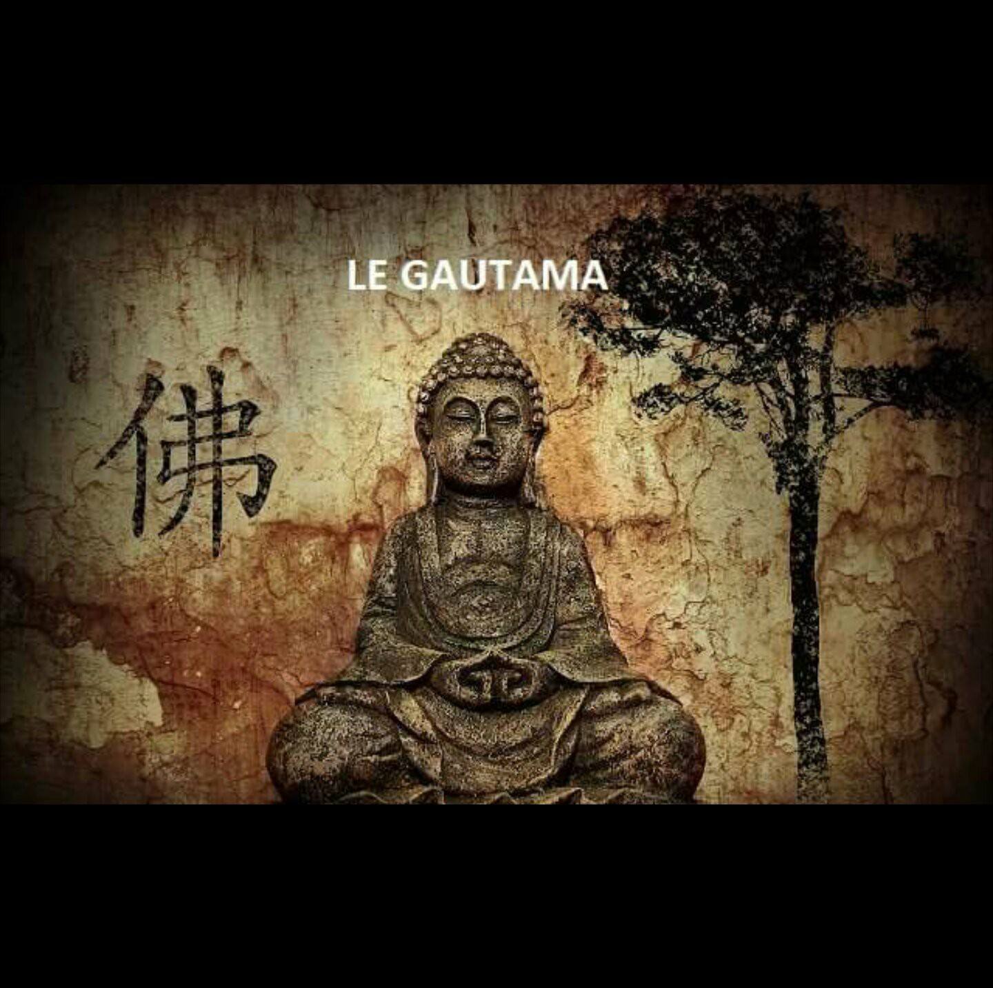 Sauna/cruising naturiste