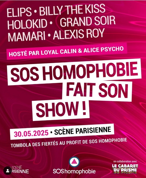 SOS Homophobie fait son show