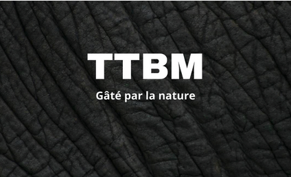 TBM